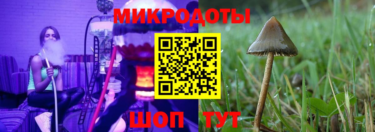 Карпинск  цена   Вход с VPN  Галлюциногенные грибы Magic Shrooms  Псилоцибиновые грибы мицелий 